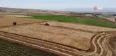 Üretime kazandırılan atıl araziler yatırıma dönüştü