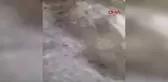 Osmaniye'de deprem sonucu evlerde ağır hasar oluştu