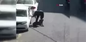 Beşiktaş'ta köpeği tekme ve tokat darp eden şüpheliye 3 yıla kadar hapis talebi