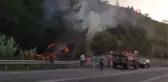 Sakarya'da orman yangını Vatandaş ve ekiplerin erken müdahalesi alevlerin büyümesini önledi