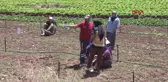 Tokat'ta Otomobil Minibüse Çarptı: 2 Ölü, 4 Yaralı