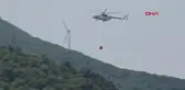 Yalova'da çıkan orman yangını kontrol altına alındı