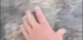 Alevlerin arasında yaşama dönen kaplumbağa, itfaiye erinin sevinci oldu