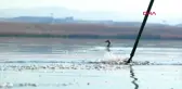 Türkiye'nin deniz ve kıyı suları kirliliği izlenecek