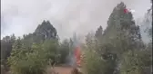 Kütahya'daki orman yangını 9 saat sonra kontrol altına alındı