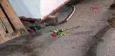 İzmit'te Çiçekli Yürüyüş Sırasında Kadını Vuran Şüpheli Yakalandı