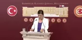 Meral Danış Beştaş: 