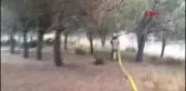 SULTANGAZİ'DE ORMAN YANGINI - 4