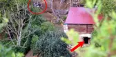 Bolu'da 3 aydır kazılan gizemli bölgeyle ilgili çok konuşulacak iddia: Mağarada çok büyük hazine var