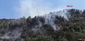 Bucak'ta Kızılçam Ormanında Çıkan Yangına Ekipler Müdahale Ediyor