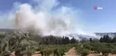 Çeşme'de orman yangını
