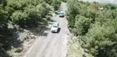 Kanadı kırık ebabil kuşuna jandarma şefkati