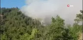 Sakarya'da ormanda yangınına havadan ve karadan müdahale sürüyor