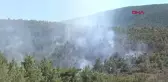 İzmir Güzelbahçe'de orman yangını