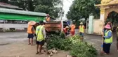 Myanmar'da Dang Humması Vakalarında Keskin Düşüş
