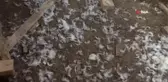 Yaşı küçük kalbi büyük Halit'ten alkışlanacak hareket