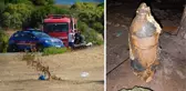 Şile sahilde bulunan 30'a yakın mayın ekipleri harekete geçirdi! Plaj kapatıldı, kontrollü patlama yapılacak