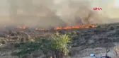 Bodrum'da Otluk ve Makilik Alanda Yangın Çıktı