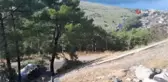 Doğalgaz yüklü kamyon uçurumdan yuvarlandı - Sızıntı ihtimaline karşı önlem alındı