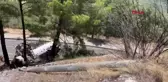 Muğla'da sıvılaştırılmış doğal gaz taşıyan tanker kaza yaptı