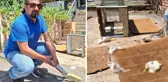 Kocaeli'de pet shop katliamı! Tavşanın kesik başını dükkanının önüne attılar