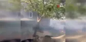 Malatya'da 150 hektarlık alanda orman yangını