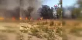 Isparta'da 10 dönümlük sazlık arazi küle döndü