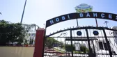 Küçükçekmece Belediyesi Hobi Bahçesi'nde Hasat Heyecanı