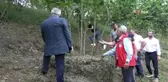 Samsun'da fındık bahçelerinde rehabilitasyon çalışmaları yürütülüyor