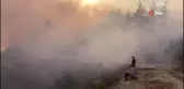 Bilecik'te korkutan orman yangını