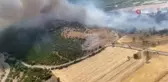 Balıkesir'de orman yangını