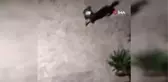 Tartıştığı adamı defalarca bacağından vurdu... O anlar kamerada