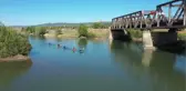 Milli sporcu olmak için Murat Nehri'nde kürek çekiyorlar