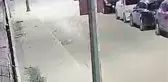 Antalya'da, başıboş 2 köpeğin kediyi boğduğu anlar kamerada