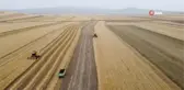Kars'ta arpa hasadı başladı