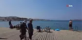 Foça'da denizanası istilası