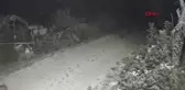 Tunceli'de Pülümür Çayı'nda boğulan genç