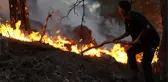 Antalya, Eskişehir, Bolu, Bayburt ve Bingöl'de peş peşe orman yangını! Alevlere müdahale devam ediyor