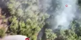 Bingöl'de Orman Yangınında Müdahale Zorlukları Yaşanıyor