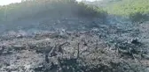 Siirt'te çıkan orman yangını kontrol altına alındı