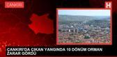 Çankırı'da çıkan yangında 10 dönüm orman zarar gördü