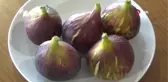 Havran Siyah İnciri Tescillendi, Hasat Mevsimi Başladı