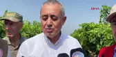 Manisa'dan Avrupa ve Orta Doğu'ya Üzüm İhracatı