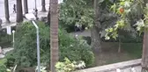Çöl sıcaklıklarıyla kavrulan Denizli, yaz yağmuruyla serinledi