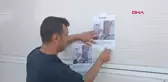 Depremde bacağı ampute edilen kedi sahibini arıyor