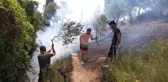 Aydın'ın Söke ilçesinde zeytinlik alanda yangın çıktı