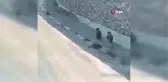 Yavru ayıların arabayla gülümseten yarışı kamerada
