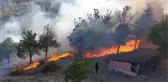 Amasya'da Harşena Kalesi Yakınındaki Ormanlık Alanda Yangın Çıktı