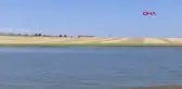 Diyarbakır'da Kuşlar Sıcaktan Etkileniyor