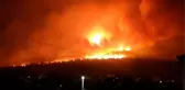 Türkiye, Yunanistan'a yangınlarla mücadele için yardım teklif etti